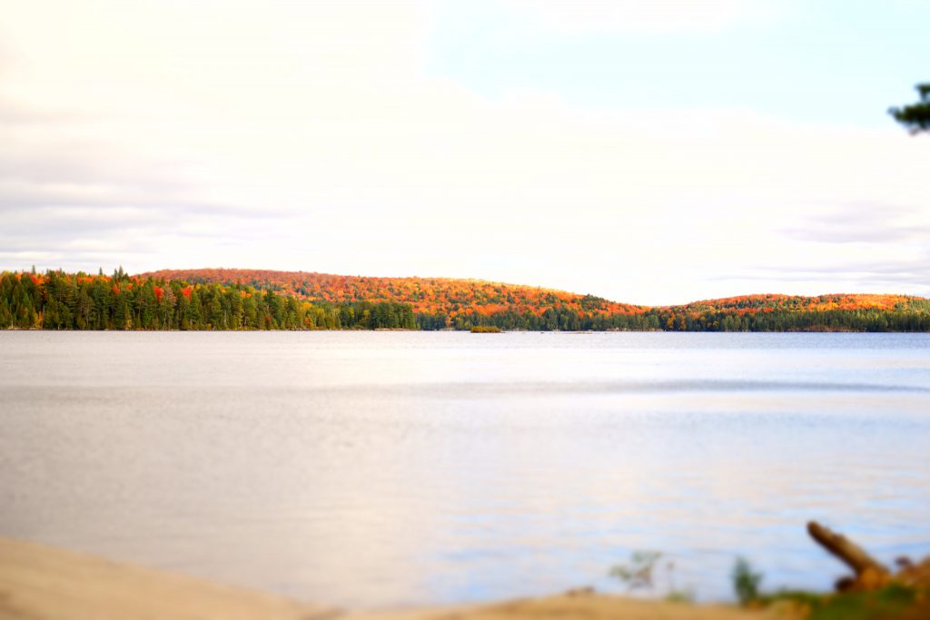 cottage in ontario